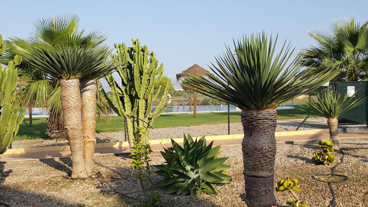 Apartments Sol De Almeria Golf Y Playa Retamar  Esterno foto